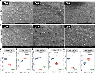 Characteristics of the phyllosphere microbial community and its relationship with major aroma precursors during the tobacco maturation process